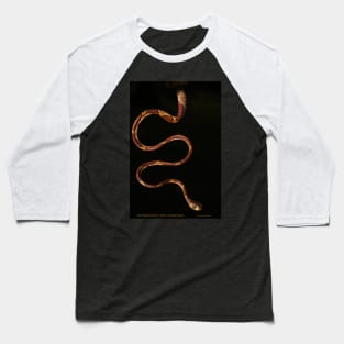 Blunt Headed Tree Snake Baseball T-Shirt